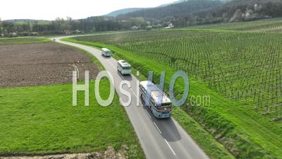 Bus Vintage Traversant Les Vignobles - Vidéo Par Drone