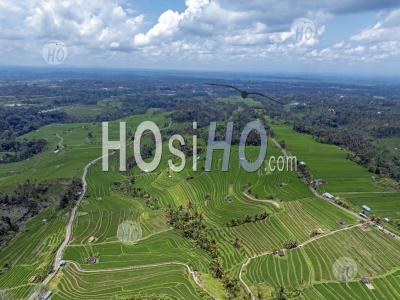 Jatiluwih Rice Terraces, Tabanan, Bali, Indonesia - Aerial Photography