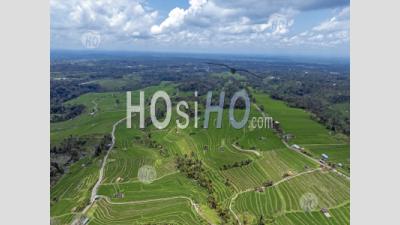 Jatiluwih Rice Terraces, Tabanan, Bali, Indonesia - Aerial Photography