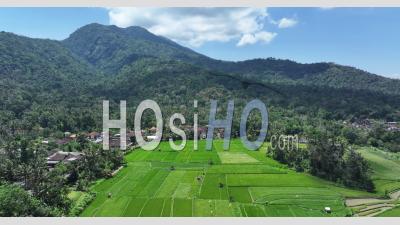 Abang Rice Terraces, Near Lempuyang Temple, With Agung Volcano, Bali, Indonesia - Video Drone Footage