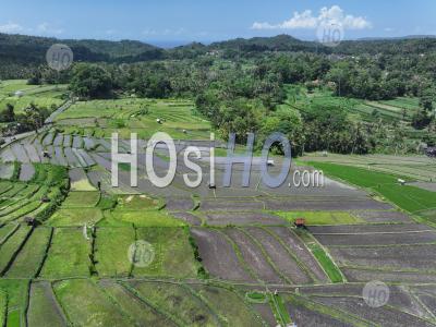 Abang Rice Terraces, Near Lempuyang Temple, With Agung Volcano, Bali, Indonesia - Aerial Photography