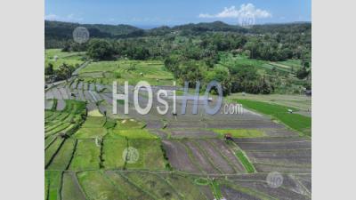 Abang Rice Terraces, Near Lempuyang Temple, With Agung Volcano, Bali, Indonesia - Aerial Photography