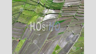 Abang Rice Terraces, Near Lempuyang Temple, With Agung Volcano, Bali, Indonesia - Aerial Photography