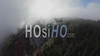Fpv Sur Une Falaise En Automne – Vidéo Par Drone