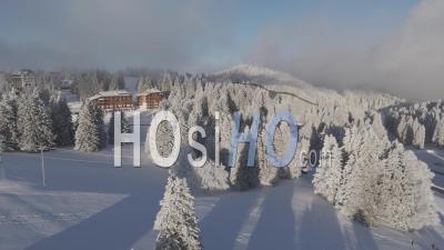 Forêt Gelée – Vidéo Prise Par Drone