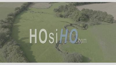 Brook Near Plouguernevel, Brittany, France - Video Drone Footage
