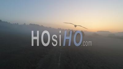 Morning Fog In East Of France - Video Drone Footage