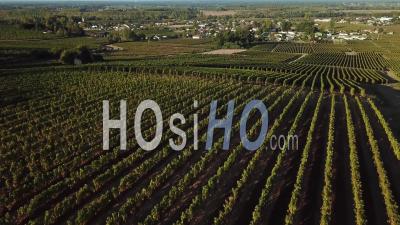 Aerial View Of Rions Village, Fortified City, In Bordeaux Vineyard , Rions, Gironde, France - Video Drone Footage